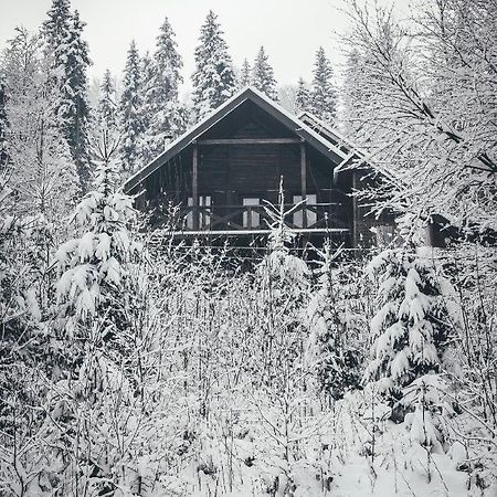 Шале Конопка Буковель Экстерьер фото