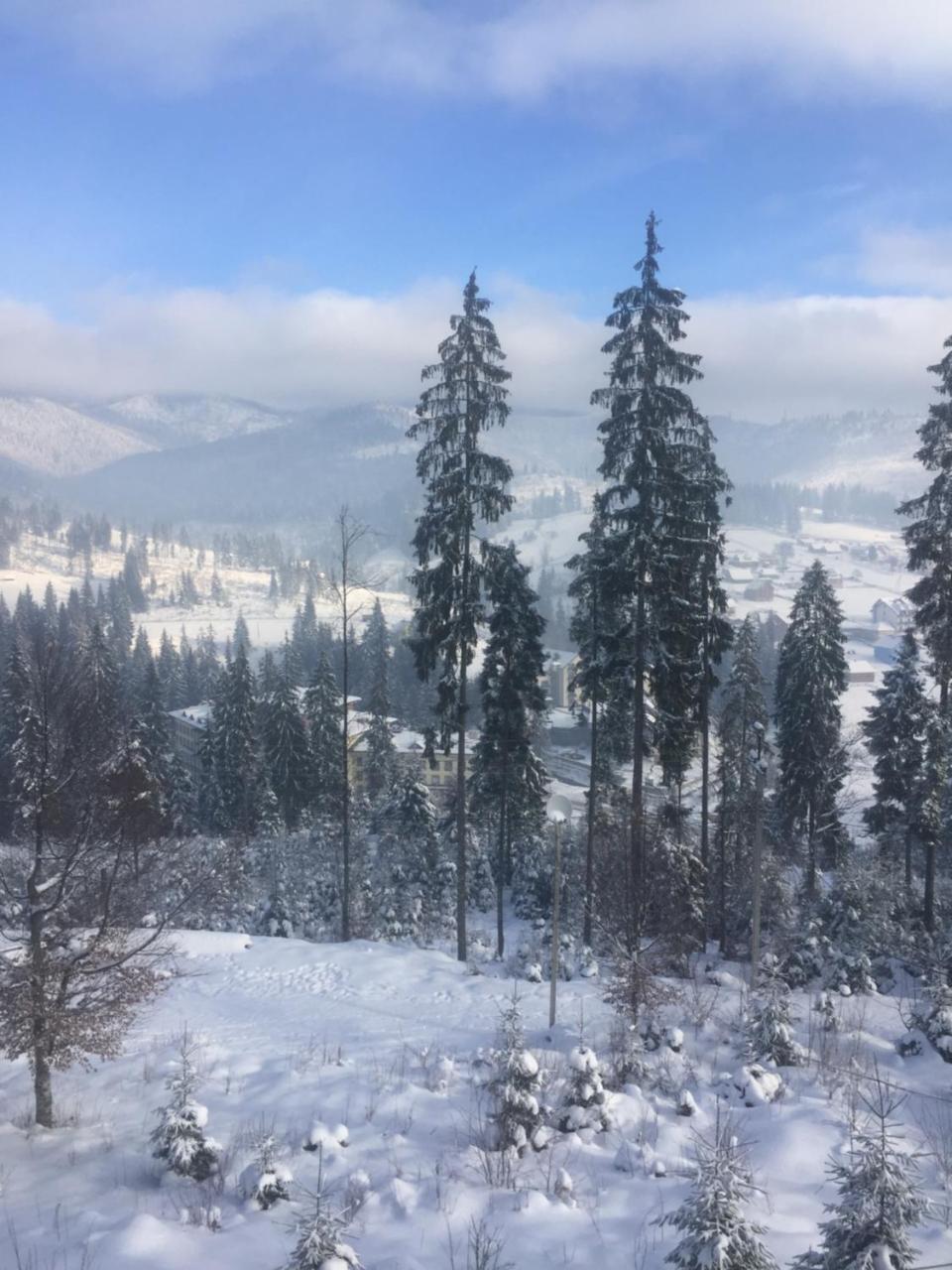 Шале Конопка Буковель Экстерьер фото