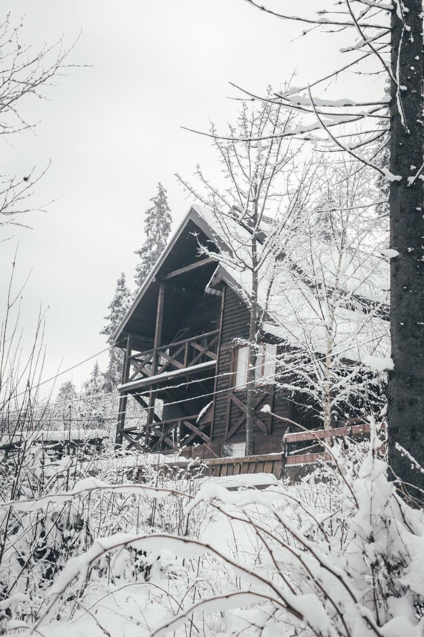 Шале Конопка Буковель Экстерьер фото